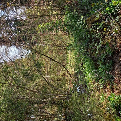 Sentier de la Chire