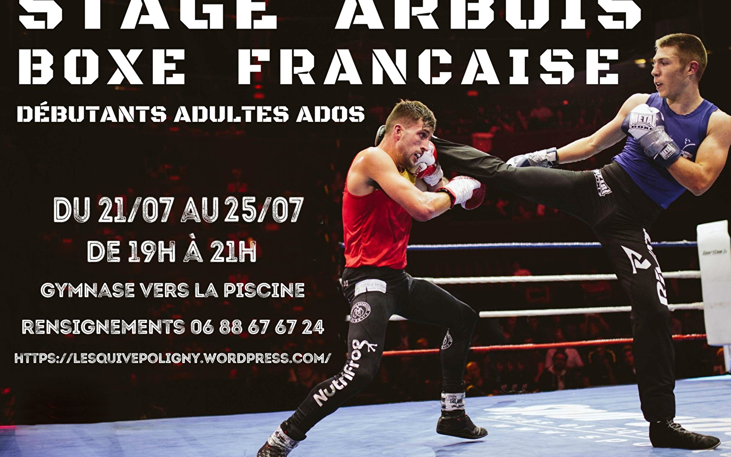 Boxe française