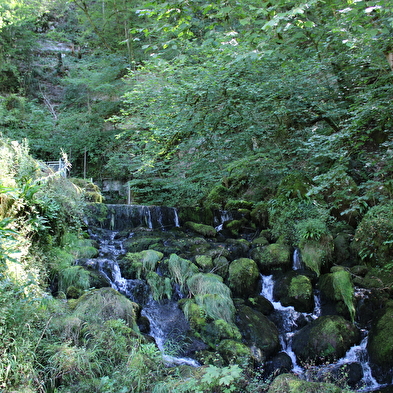 Moulin de la Doue