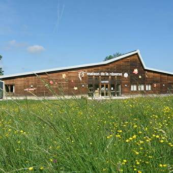 Maison de la Réserve - LABERGEMENT-SAINTE-MARIE