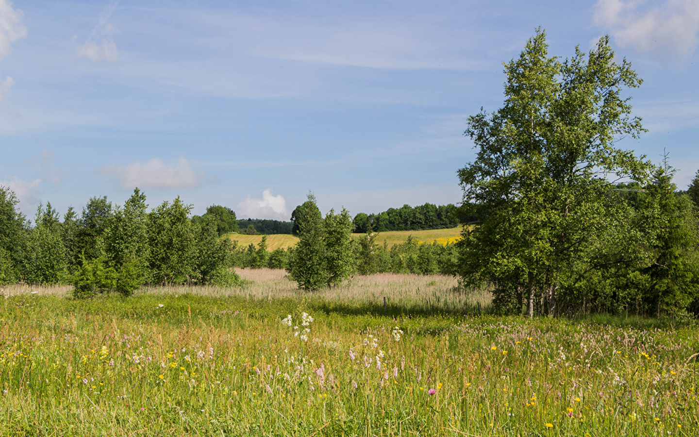 Lac de Fort-du-Plasne