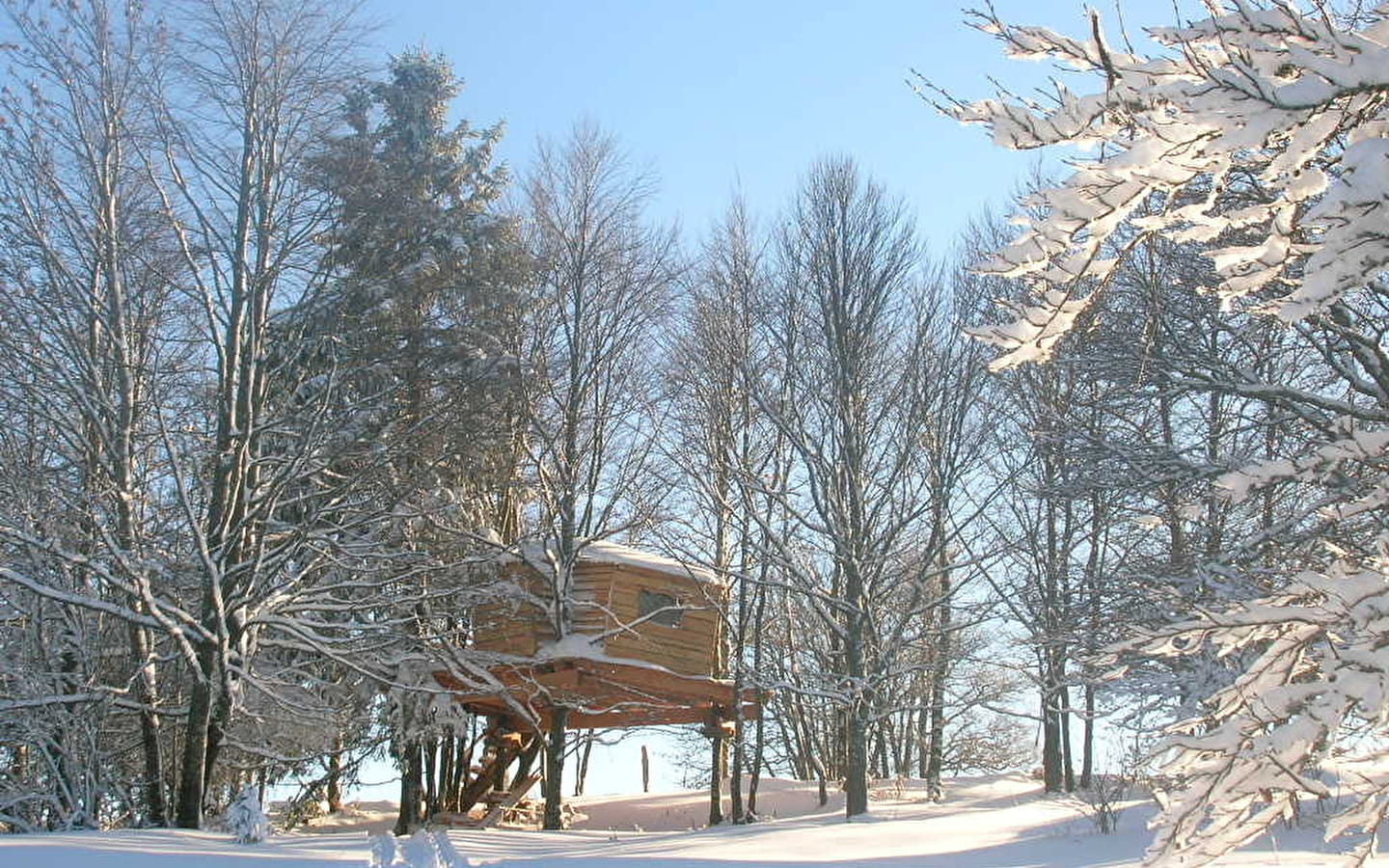 Les Loges du Coinchet - Cabane perchée