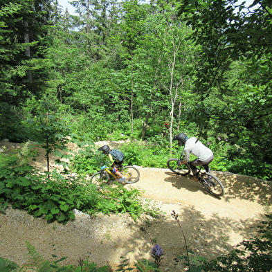 Piste VTT Descente - bleu - la Dégringolée - Espace Ain Forestière