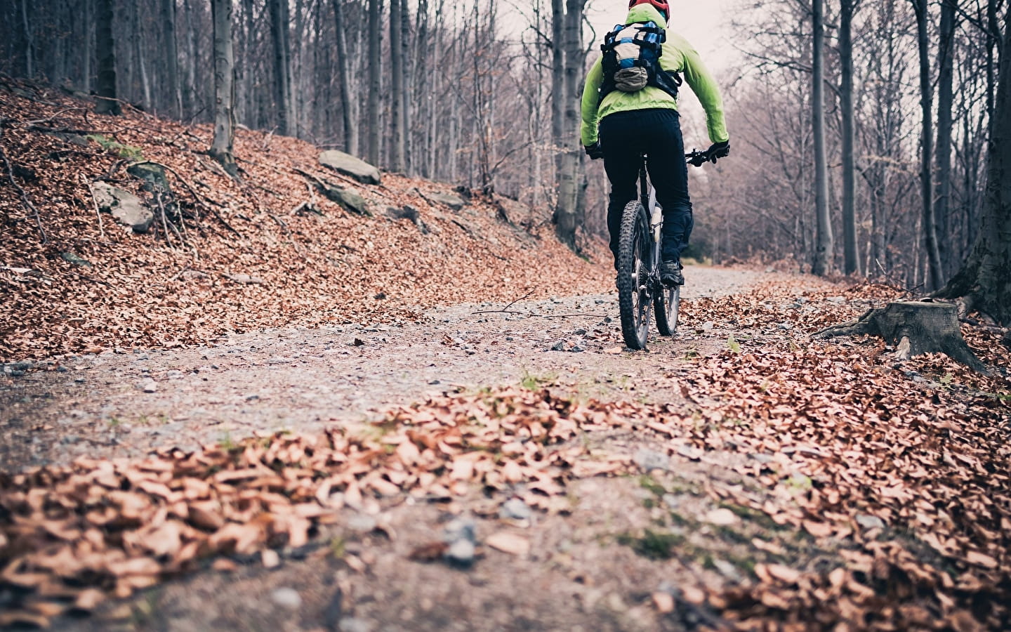 Randonnée VTT avec Sylvain Poncet