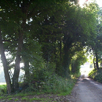 Luxiol - n°67 - BAUME-LES-DAMES