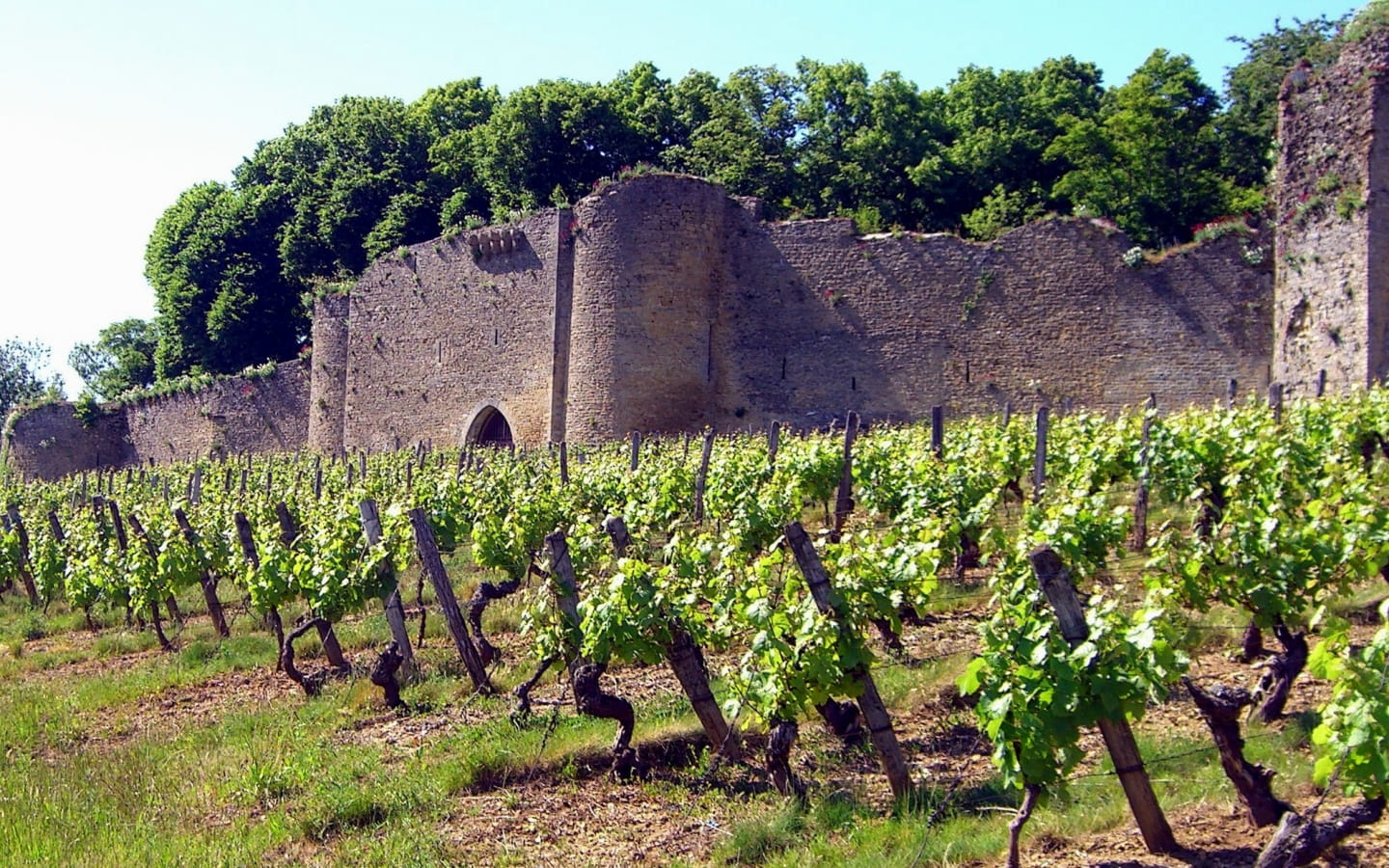 Domaine Château d'Arlay