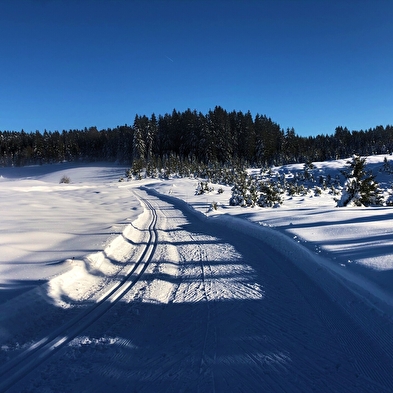 Piste rouge de ski de fond de Lachat : Le Mortier