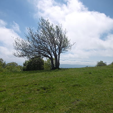 Sur Lyand / Grand Colombier