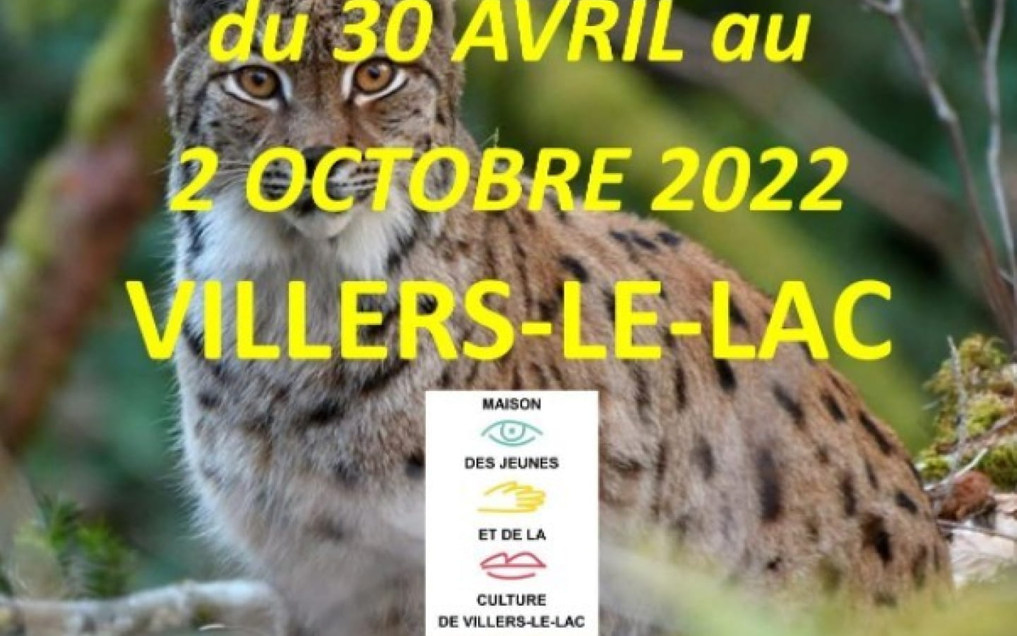 Exposition Photo 'La Faune du Massif Jurassien'