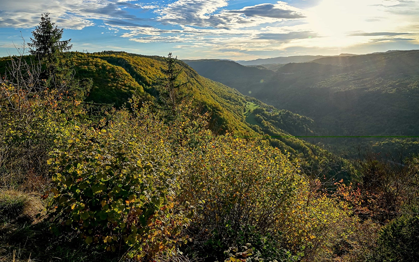 Accès direct au Cuvet