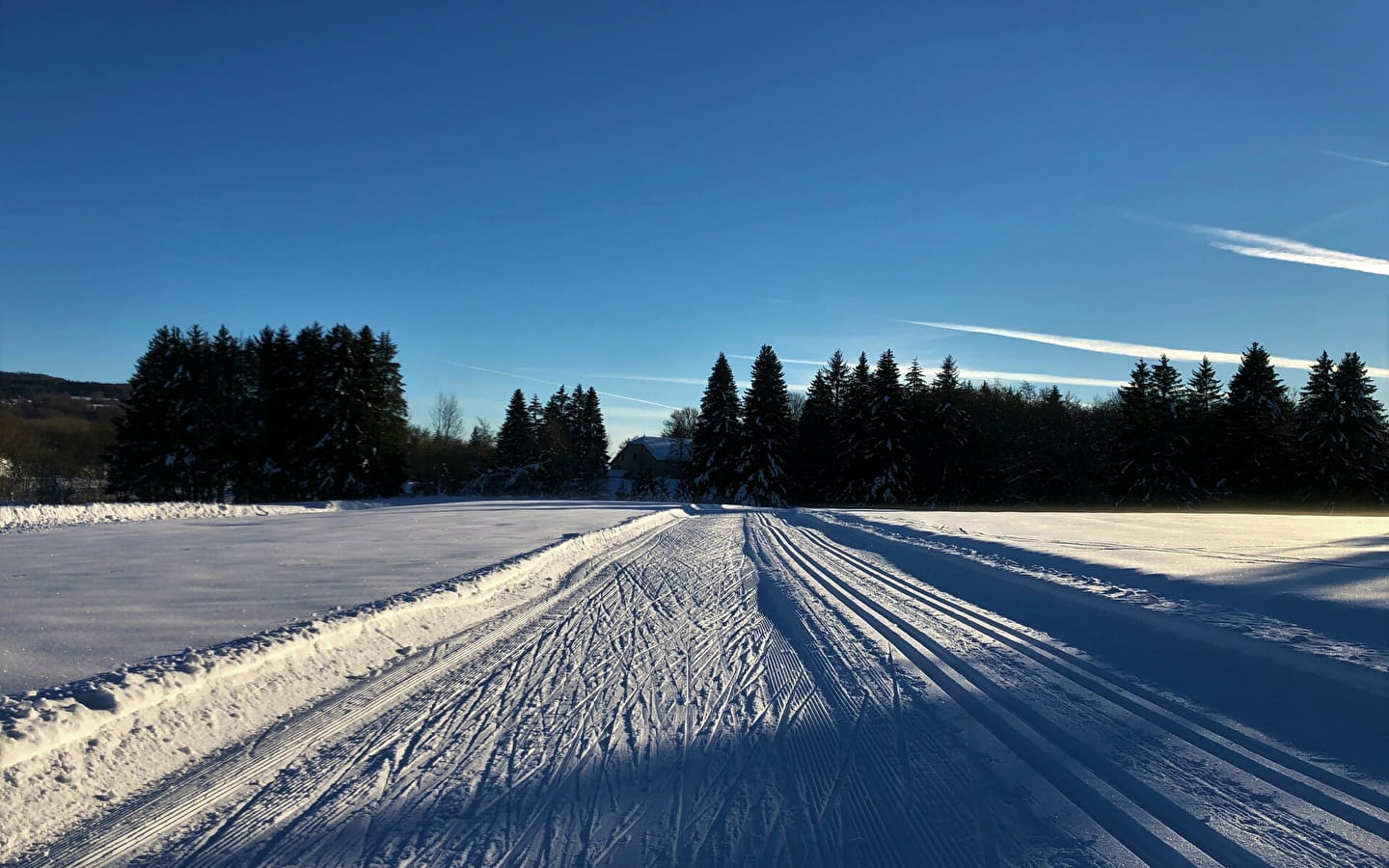 Piste noire de ski de fond de Lachat : Les Moussières