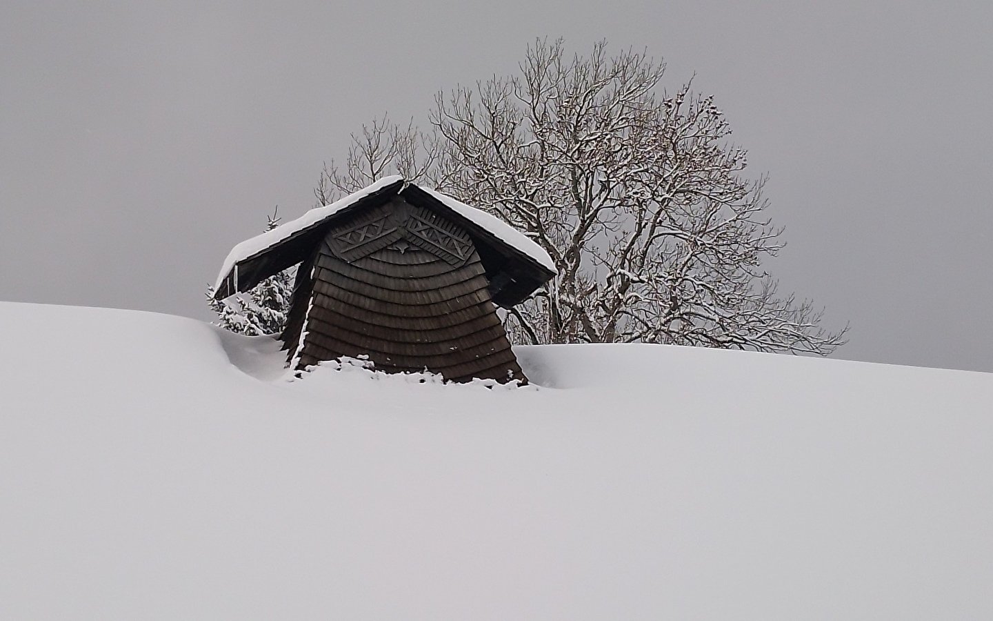 Visite guidée de l'écomusée Maison Michaud