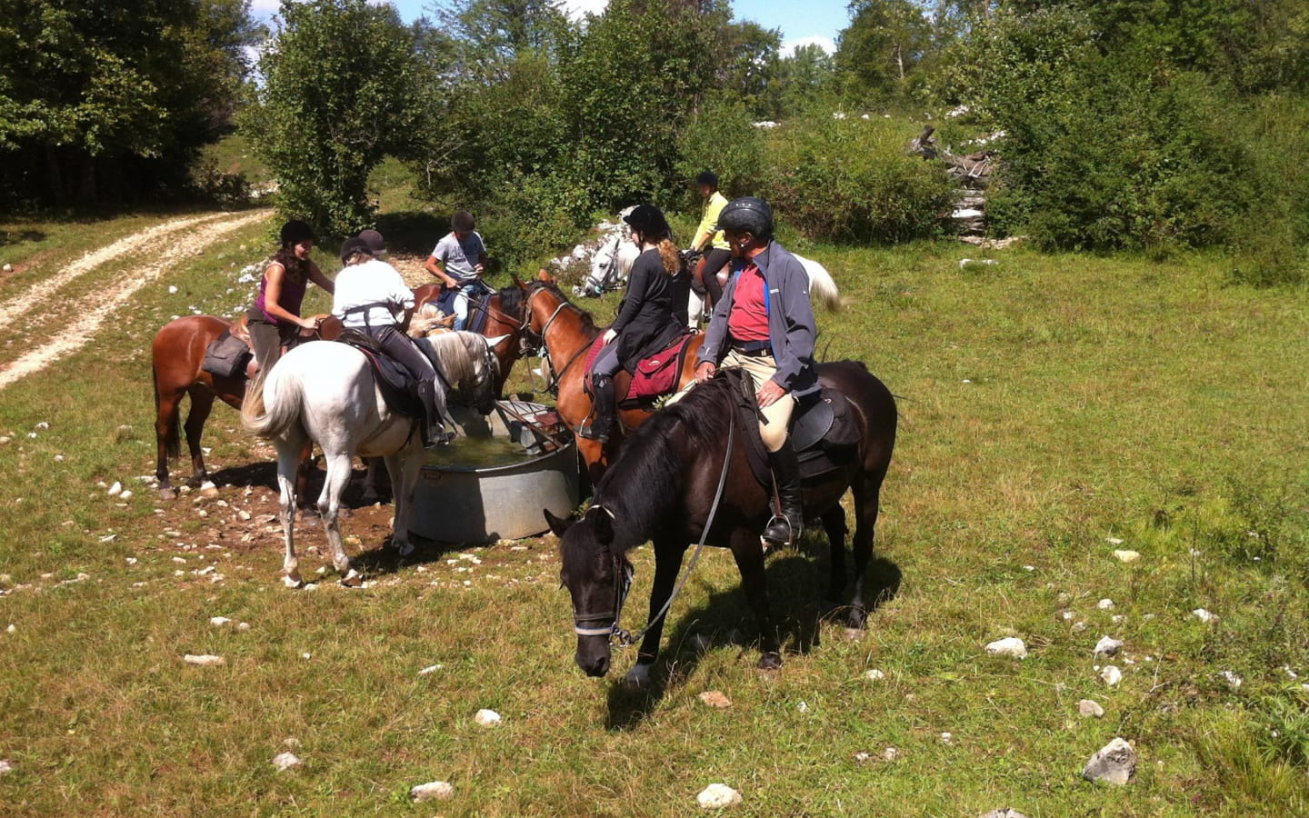Promenade à cheval 1 journée avec Ranch des Balmettes