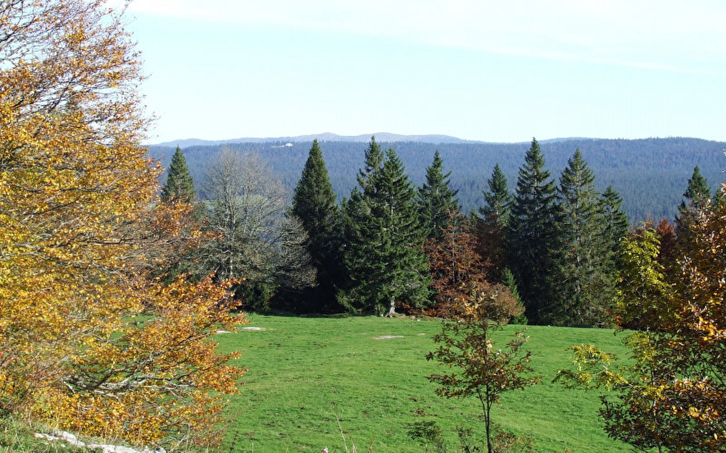 Pré d'Haut