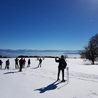 Randonnée en raquettes avec Sylvain Poncet - CHARIX