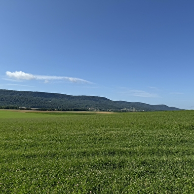 Sentier de Palise