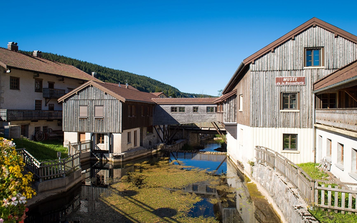 La forêt du Risoux