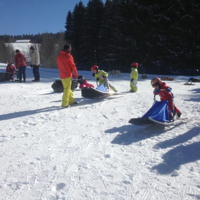 Free Sled - Chiens de traineaux