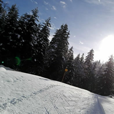 Apremont - Piste bleue de ski nordique