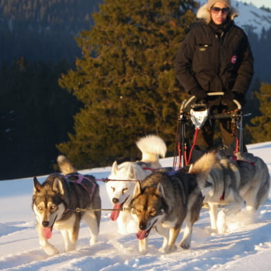 Sentiers Nordiques - Chiens de traîneaux