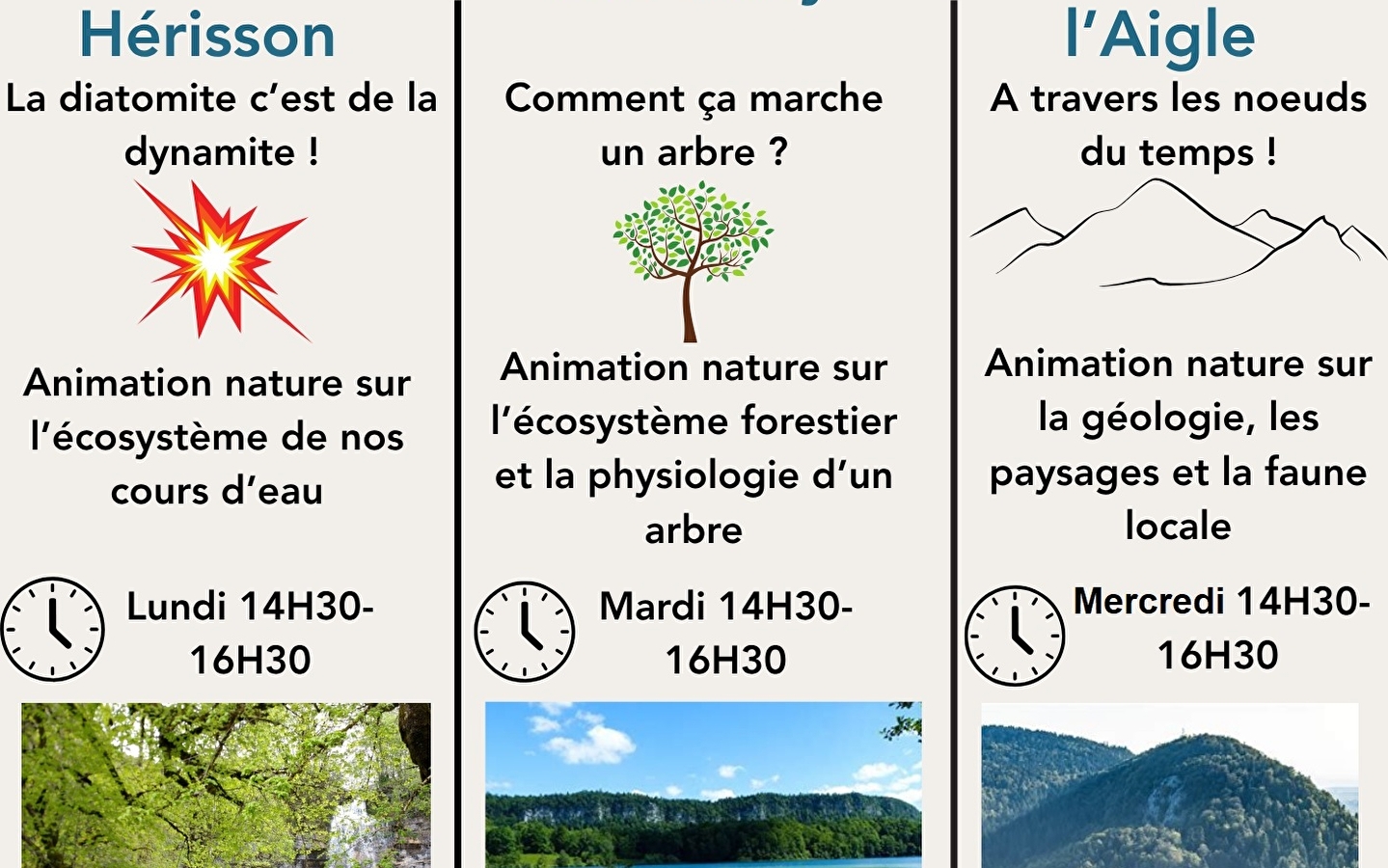 Animation nature - Lac d'Ilay