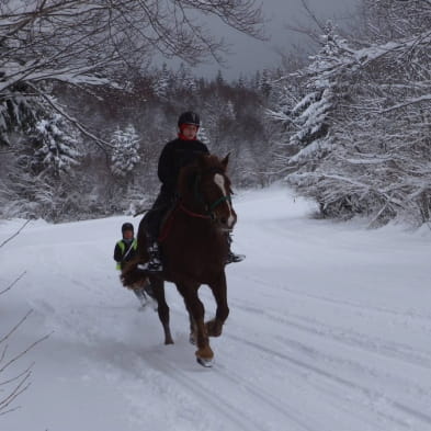 Ski Joëring et activités équestres pour tous - Ferme équestre de la Pelaisse