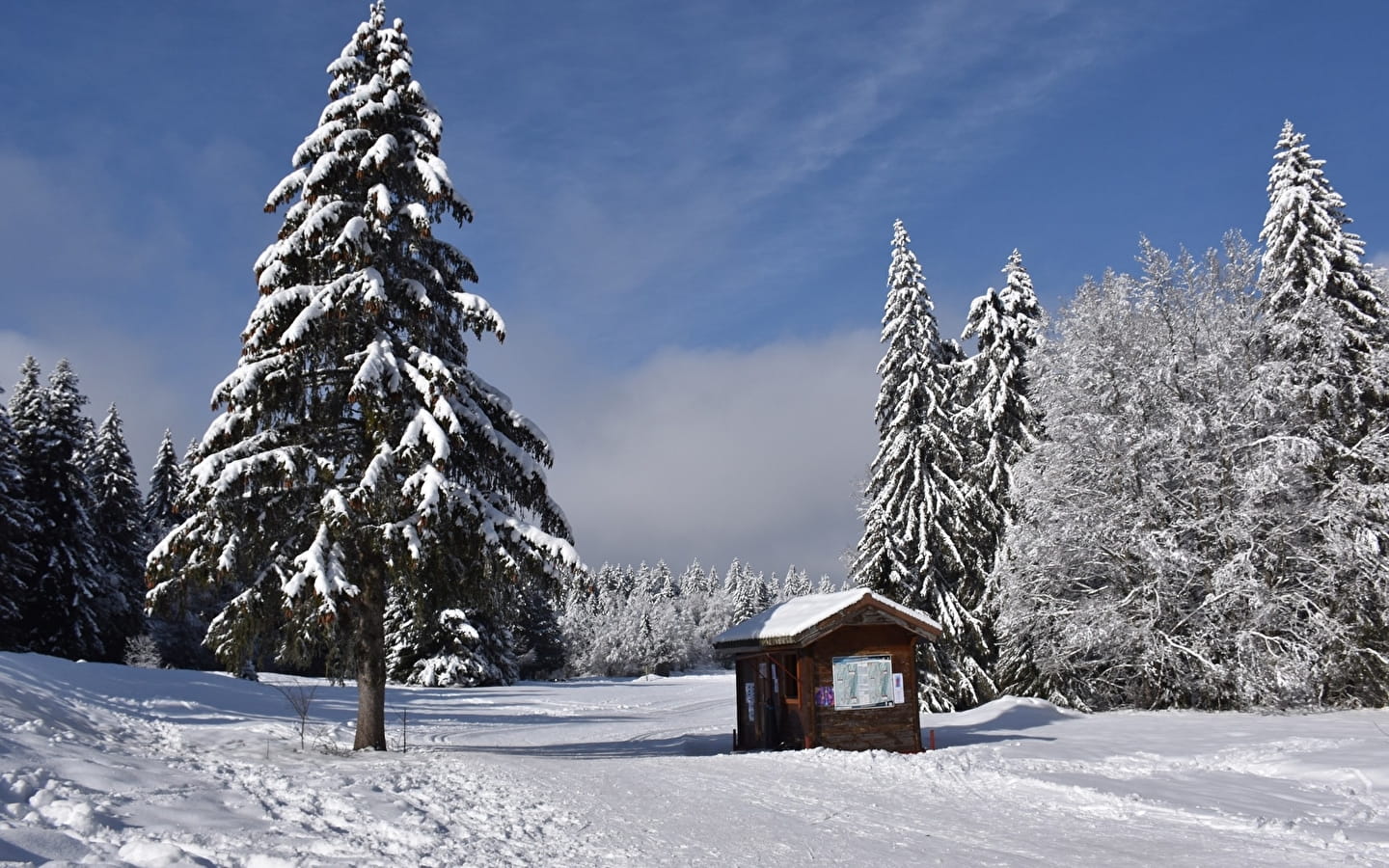 Piste verte de ski de fond du Plateau de Retord : La Vezeronce