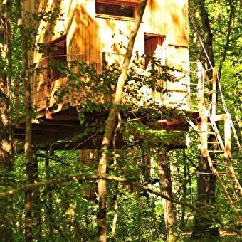 Cabanes dans les arbres - MONT-SOUS-VAUDREY