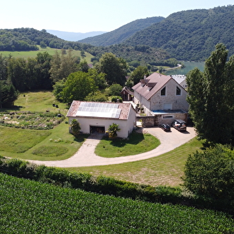 Racine Perchée - MASSIGNIEU-DE-RIVES