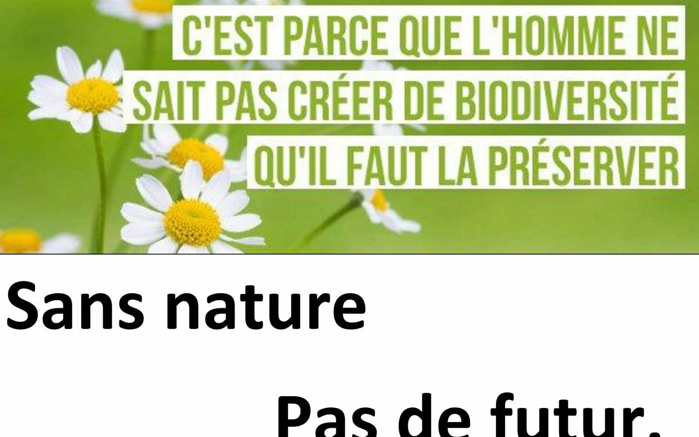Préserver la biodiversité au jardin