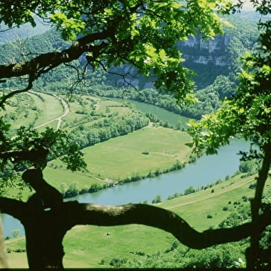 Rivière d'Ain, ENS de l'Ain