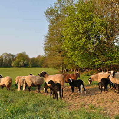 Ferme de l'âne d'Eria