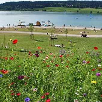 Baignade au Lac de Saint-Point - METABIEF