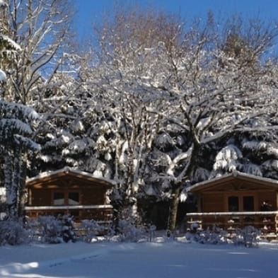 Camping de la Forêt