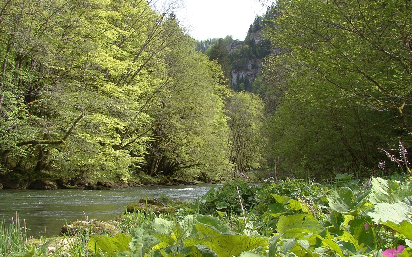 La Perle Franco-suisse