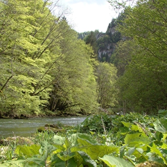 La Perle Franco-suisse - GOUMOIS