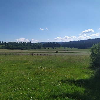 La Source - Saint Laurent - SAINT-LAURENT-EN-GRANDVAUX