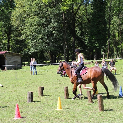 Découverte poney/cheval au Ranch des Balmettes