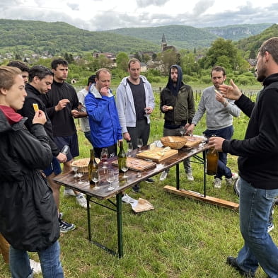 Balade oenologique à VTT - Jura Ride