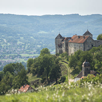 Sentier historique de Belvoir - SANCEY