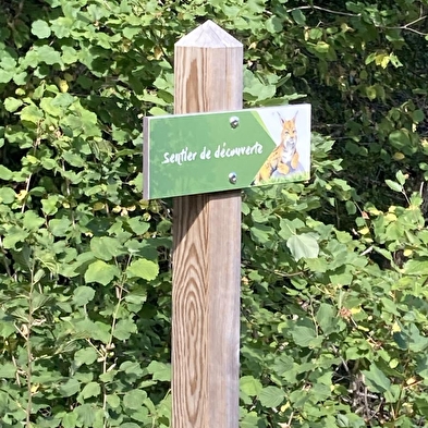 Sentier thématique : Le parcours du Lynx