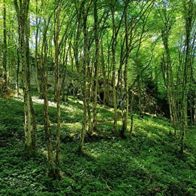 Grotte de la Tante Airie