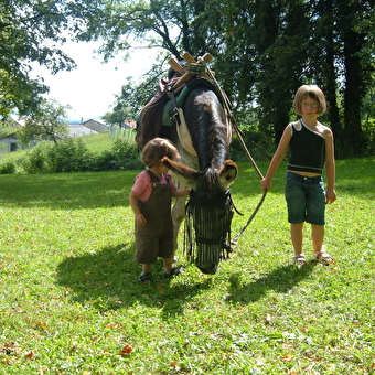Promenade avec des ânes de bât et découverte de la ferme. - BRENOD