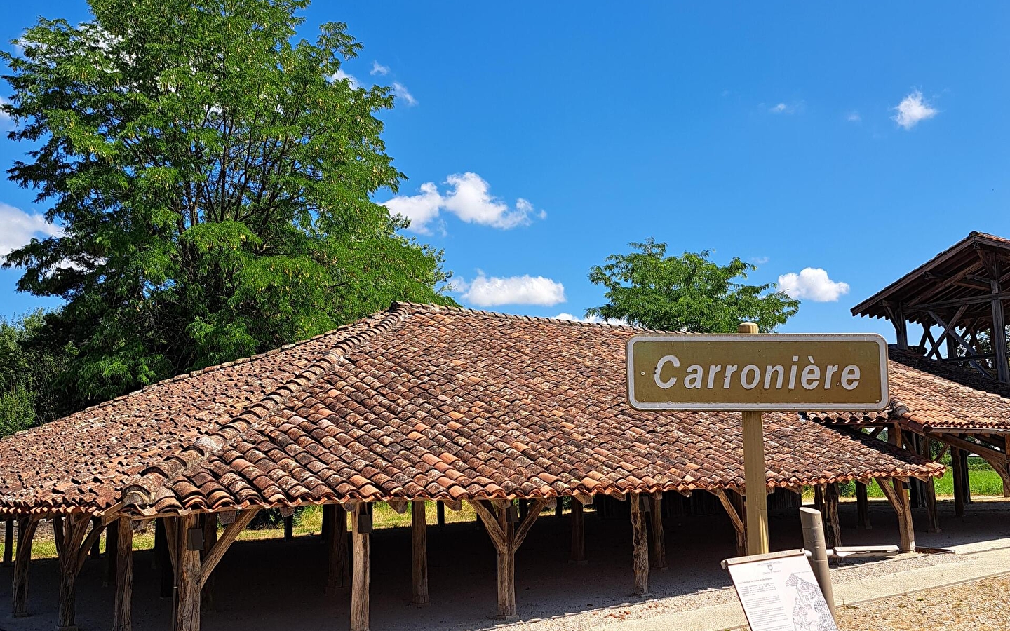 Carronnière de Mollardoury