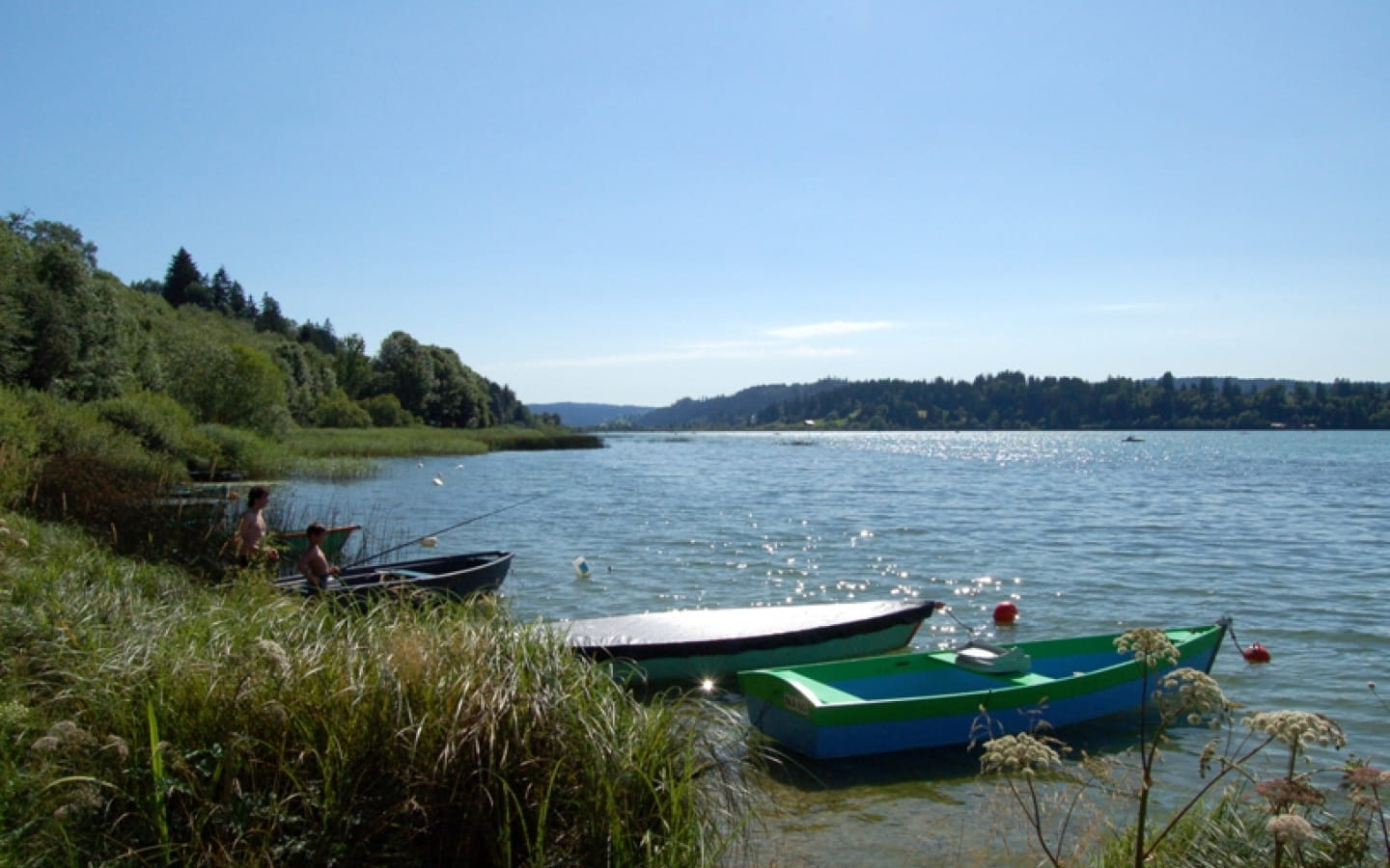 Lac de Saint-Point