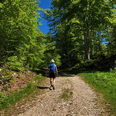 Circuit de randonnée le Tour de Retord