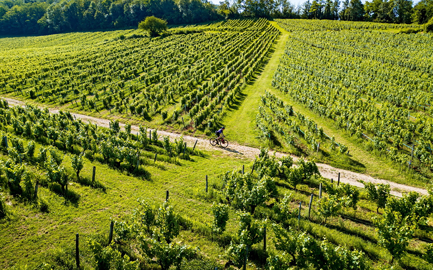 Tour du Jura Vélo Loisirs – Option Gravel : Port-Lesney – Poligny