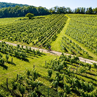 Tour du Jura Vélo Loisirs – Option Gravel : Port-Lesney – Poligny - PORT-LESNEY