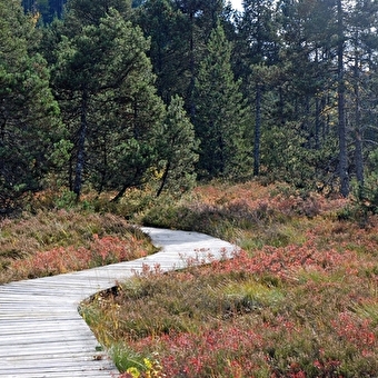 Lacs et tourbières du Grandvaux - NANCHEZ