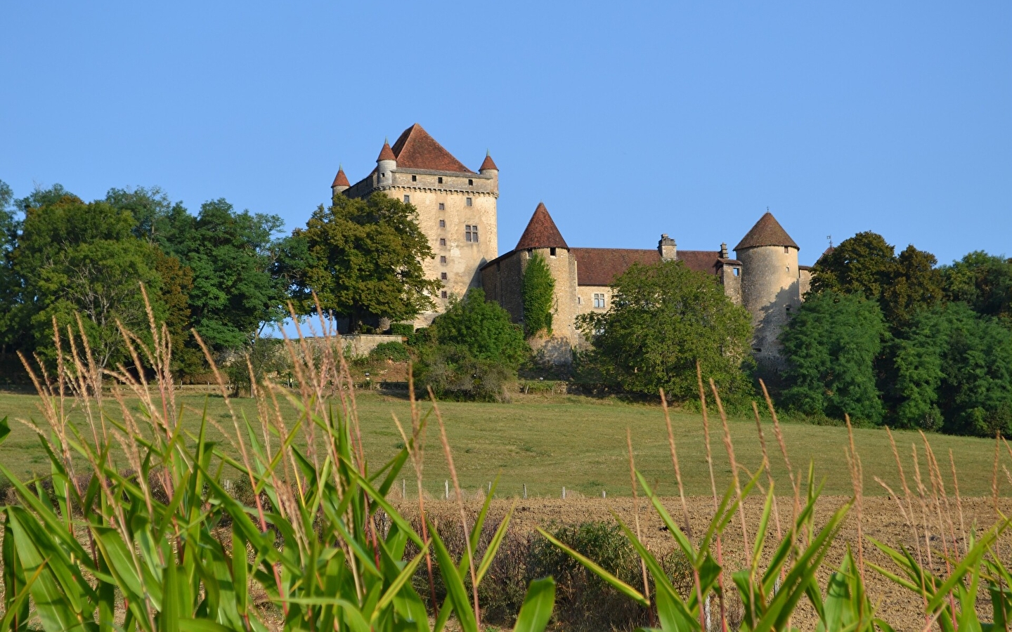 Vignoble et Châteaux - 88B
